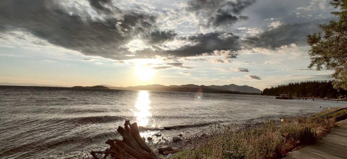 Sonnenuntergang spiegelt sich im Wasser der Davis Bay, am Ufer liegt Treibholz