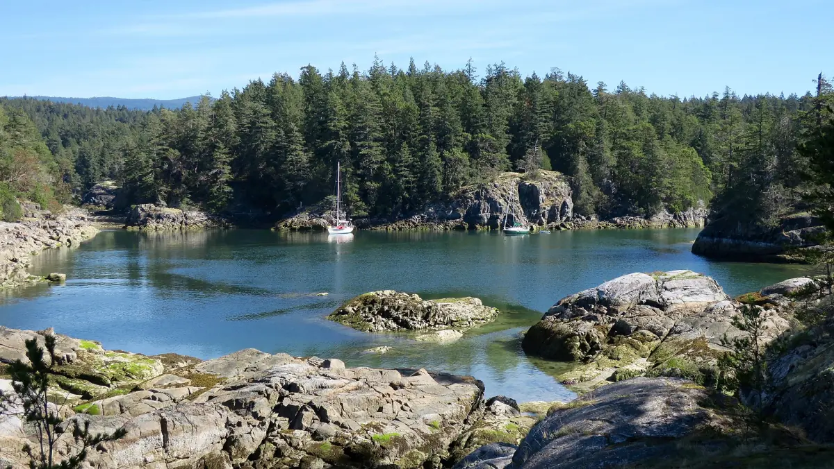 Felsige Bucht an der Smuggler Cove mit einem Segelboot und dichtem Nadelwald