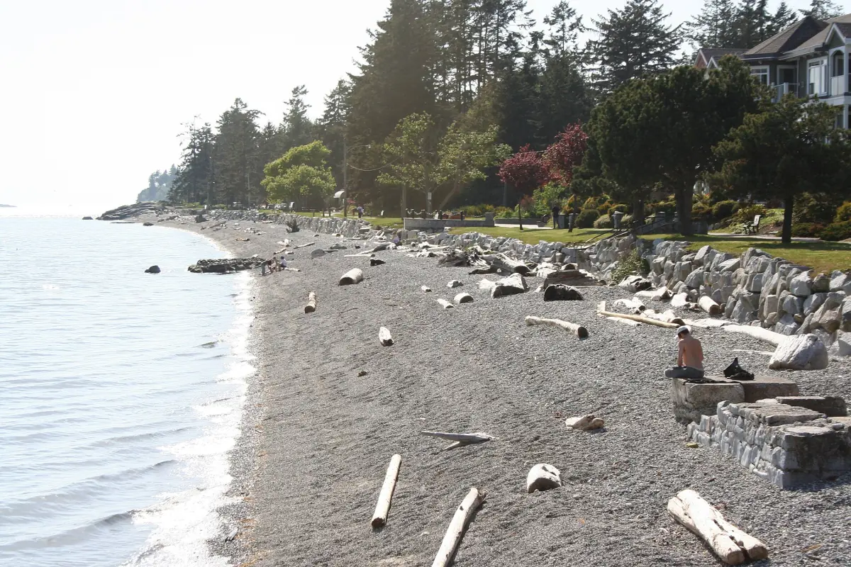 Kiesufer an der Trail Bay in Sechelt mit Treibholz und einer Baumreihe